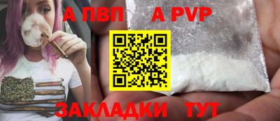 спиды Гай