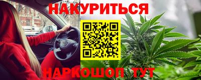 спиды Гай