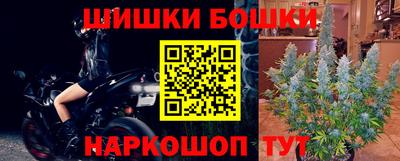 спиды Гай