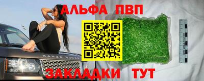 спиды Гай