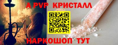 спиды Гай