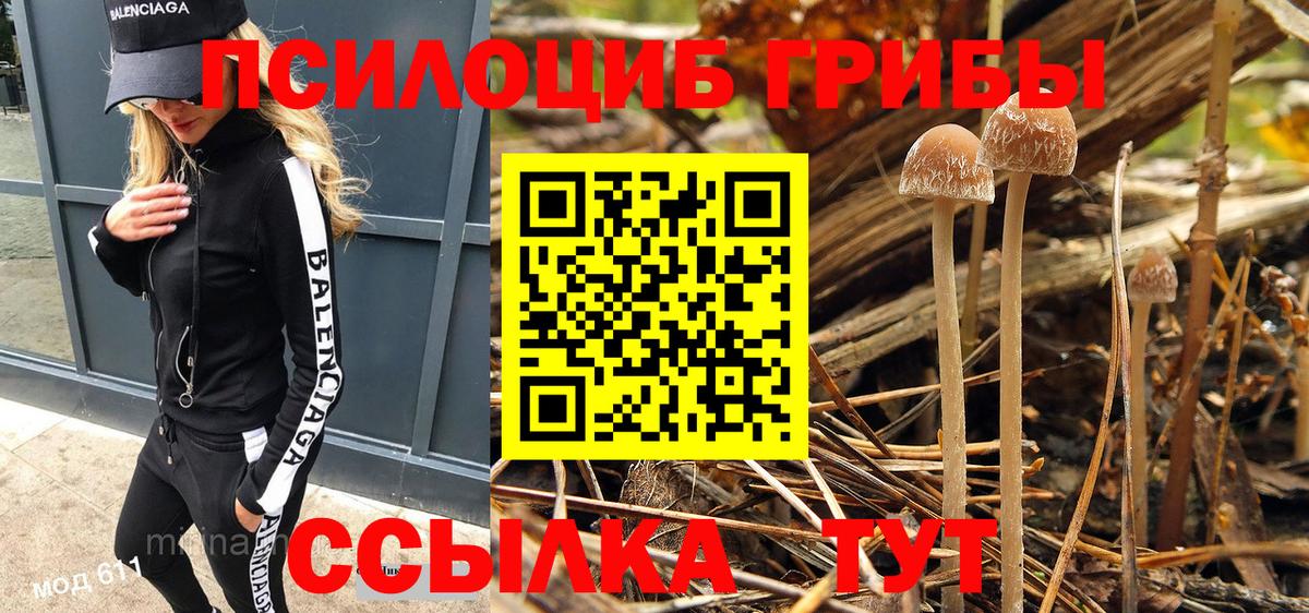 Псилоцибиновые грибы Psilocybe Мирный